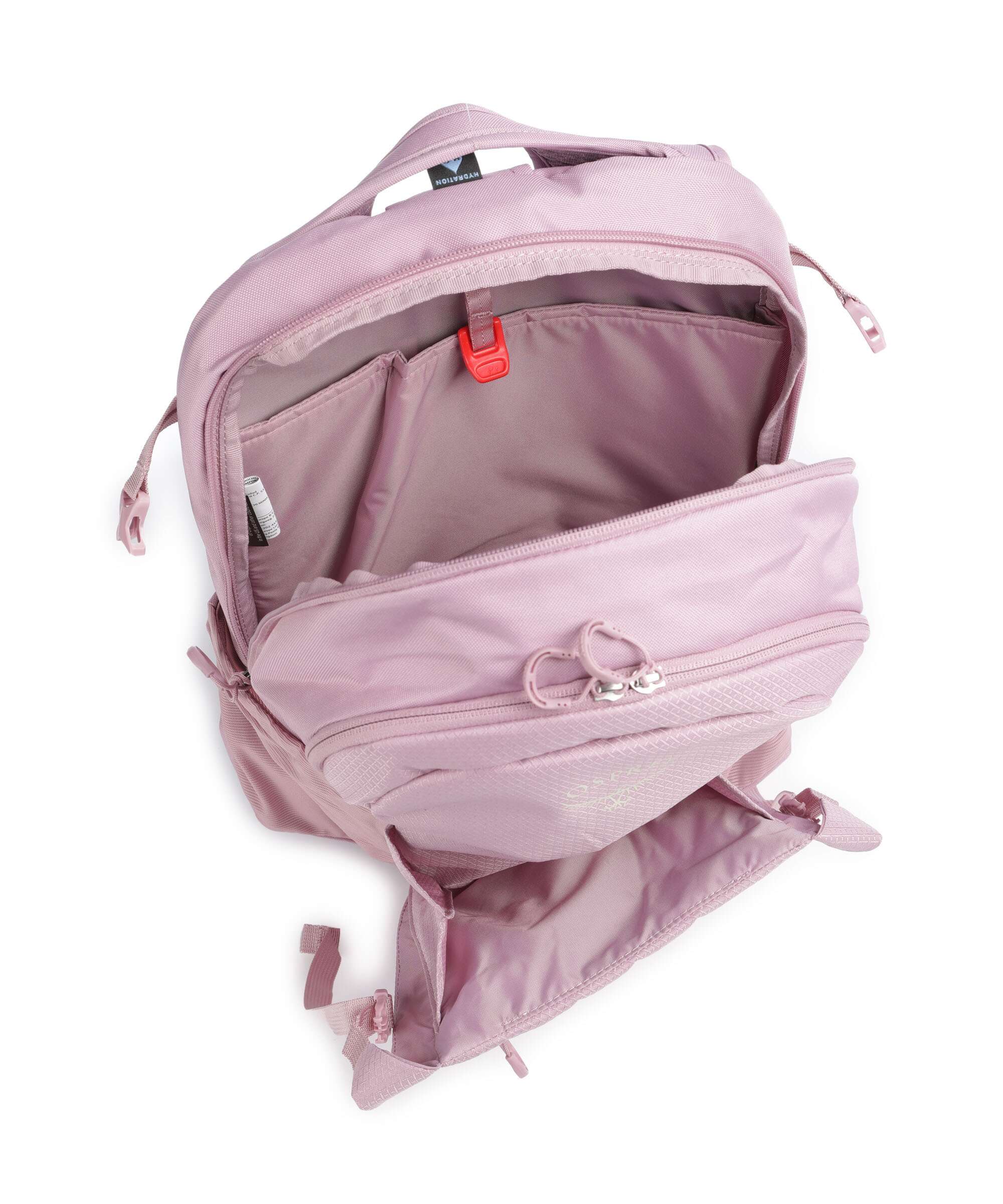 Osprey Daylite Plus Rugzak iris pink - Image 6