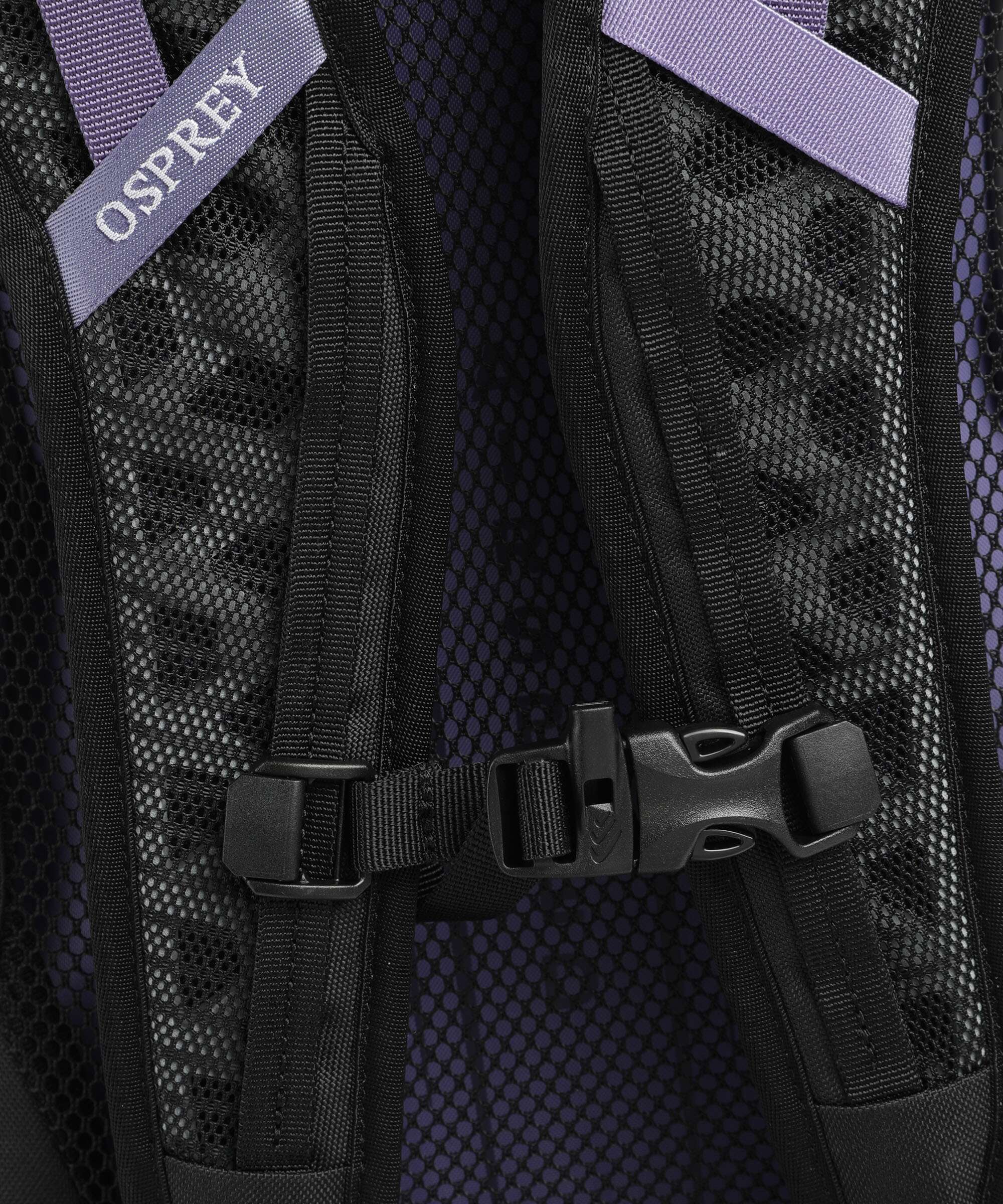Osprey Hikelite 22 Wandelrugzak botswana purple - Image 3