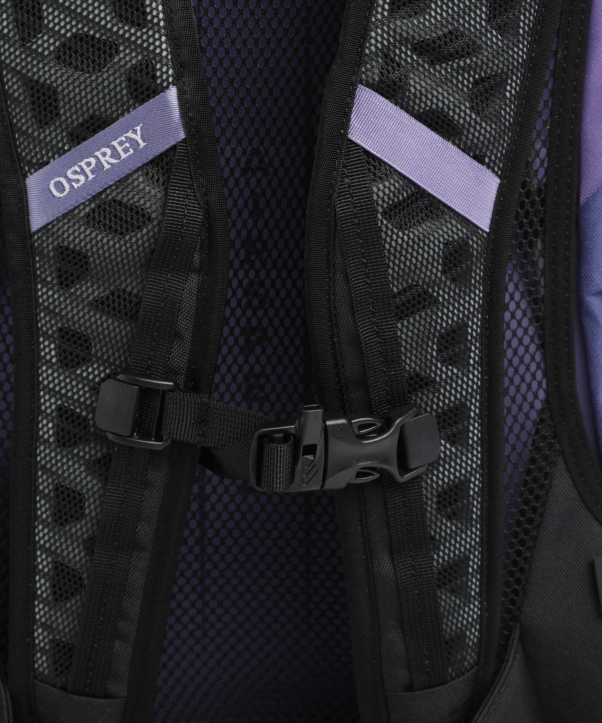 Osprey Hikelite 30 Wandelrugzak botswana purple - Image 3